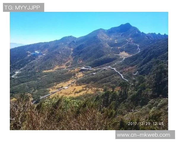 德利塔对决精彩纷呈解析两队实力与战术博弈的全景展现